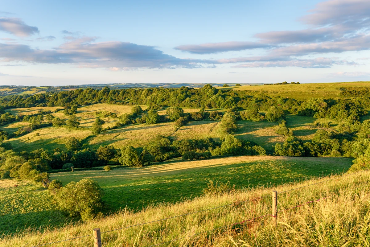 Le cadre légal des achats de terrains agricoles