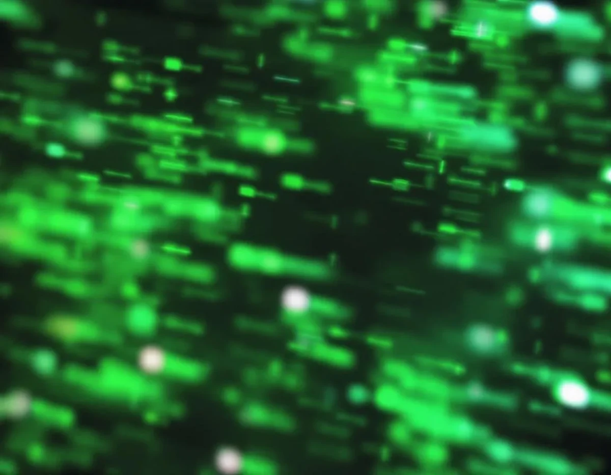 L'équilibre fragile entre droit à l'information et cybersécurité : enjeux et perspectives